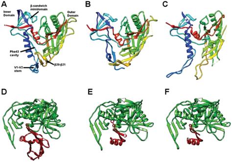 (A–C) Comparisons of gp120 structures in (A) the CD4-bound state (PDB ... 