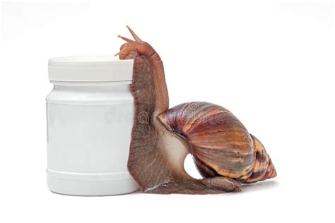 A White Jar Of Cream A Snail Crawling On It On The White Background