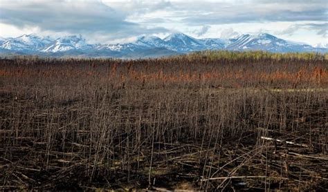 Alaska and a Changing Climate | USDA Climate Hubs