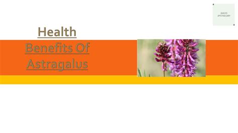 Ppt Health Benefits Of Astragalus Powerpoint Presentation Free