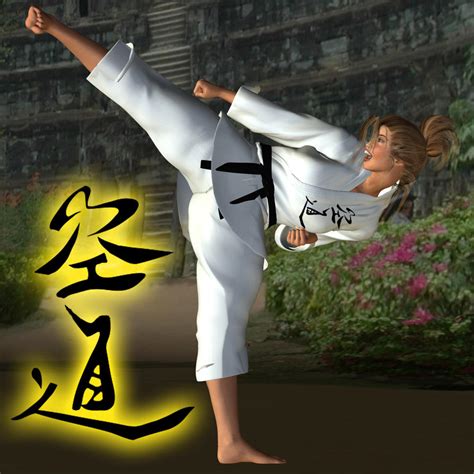 Karate Kicks 4 By Soldier2000 On Deviantart