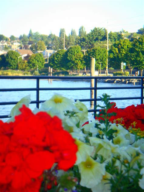 the view from the Tacoma Waterfront RAM deck-totally gorgeous. | Tacoma ...