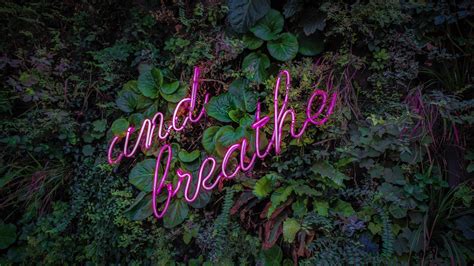 Breathe Neon Sign K Wallpapers Hd Wallpapers