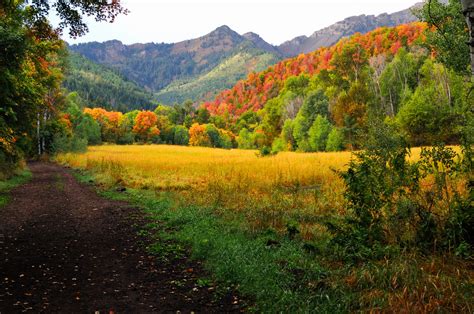 Provo Canyon Fall Colors 2009 A Photo On Flickriver