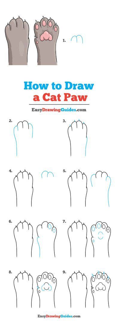 Steps To Draw A Cat Paw