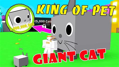 Giant Cat Level 10 Billion King Of Pets In Pet Simulator Roblox