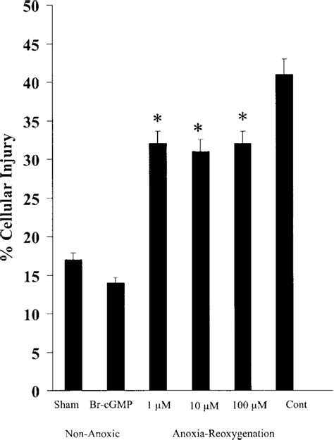 Cellular Injury After Preanoxic Treatment Of Bromo Cgmp Brcgmp