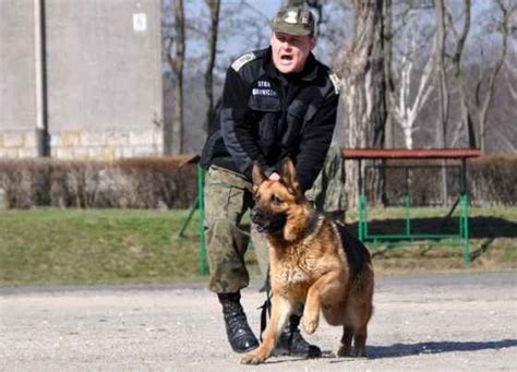 Duma Zgodzi A Si Na Nowe Zasady Ma Ego Ruchu Granicznego Z Polsk