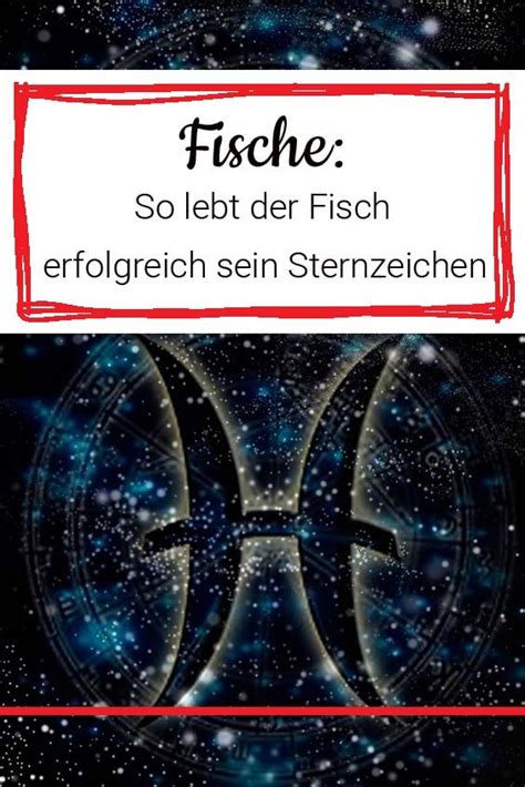 Sternzeichen Fisch Mann Eigenschaften Fischlexikon