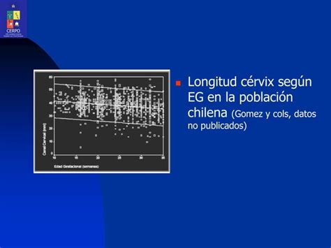 Ecografia De Cuello Uterino En El Embarazo Ppt