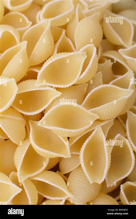 Raw Conchiglie Seashell Shaped Pasta Shapes Stock Photo - Alamy