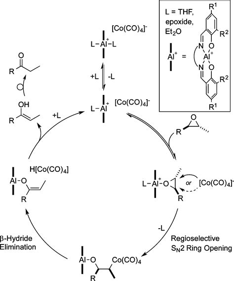 Regioselective Isomerization Of 2 3 Disubstituted Epoxides To Ketones