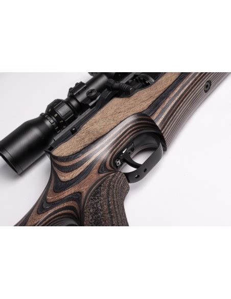 Weihrauch HW 100 T Laminated Stock