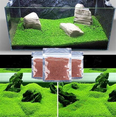 Misuhalou 3 Pack Aquarium Grass Plant Water Grass Aquarium Plant Grass Easy