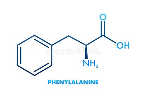 PHENYLALANINE Formula. PHENYLALANINE Molecular Structure Stock Vector ...