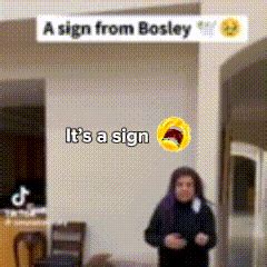 Bosley Brawadis GIF - Bosley Brawadis Faze rug - Discover & Share GIFs