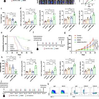 Cd Inhibition Reduces Tumor Infiltrating Tregs In Pancreatic Cancer