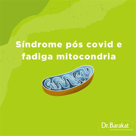 S Ndrome P S Covid E Fadiga Mitocondria Blog Do Dr Barakat