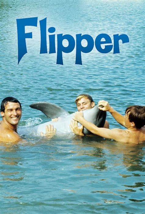 Flipper (TV Series 1964-1967) - Posters — The Movie Database (TMDB)