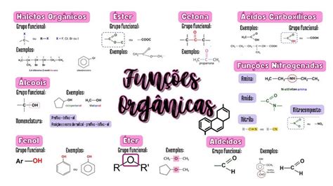 Mapa Mental de Funções Orgânicas e Nitrogenadas