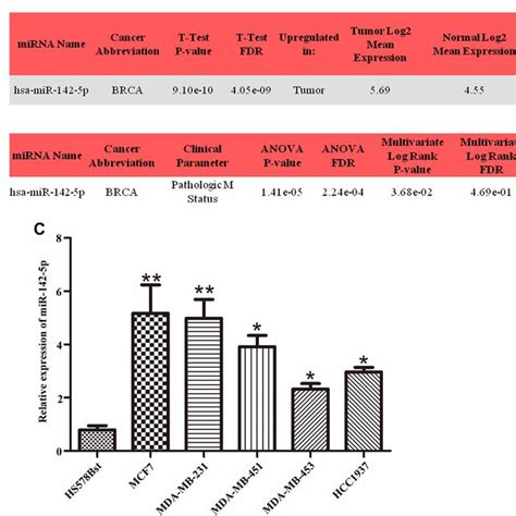 High Expression Of Mir P In Breast Cancer Closely Associated With