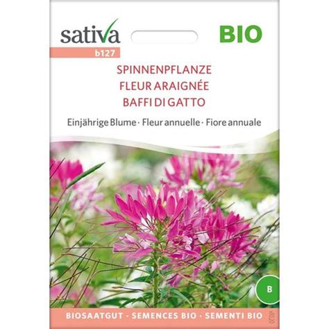 Sativa Bio Einjährige Blume Spinnenpflanze 1 Packung Bloomling