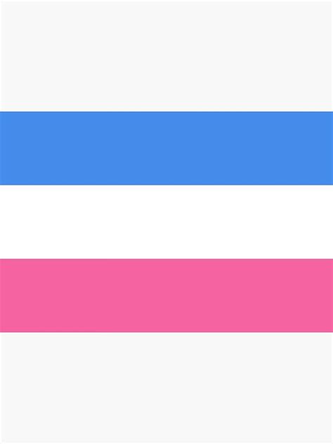 "Heterosexual - Pride Flag" Poster for Sale by FlagsWorld | Redbubble