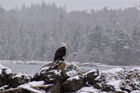 Snow in Ketchikan – Long Distance Cruising