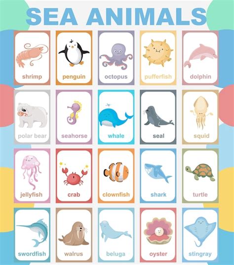 Premium Vector Sea Animal Poster Educational Printable Poster Vecto ...