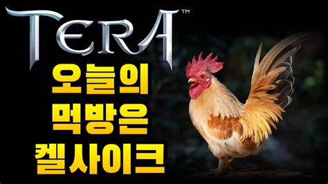 테라 Tera 오늘 먹어볼것은요~ 여러분들이 좋아하는 닭을 준비 해봤습니다 켈사이크 은폐지 테라 Tera 온라인