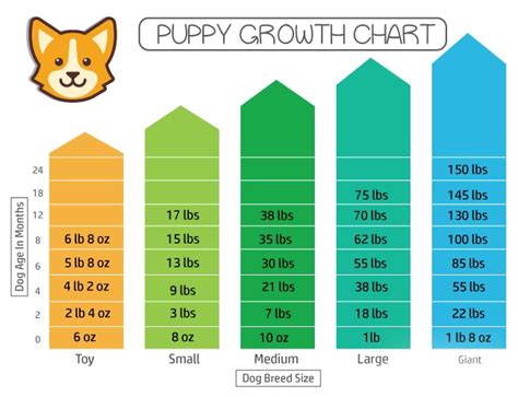 Ultimate Puppy Growth Chart Track Your Dogs Development