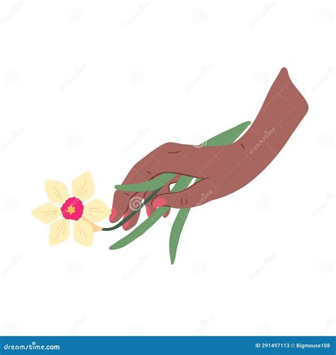 Cartoon Color Female Hand Holding Narcissist Vector Stock Vector