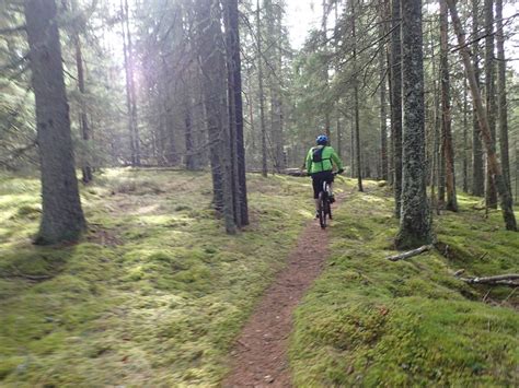 Rr Muppar I Urskogen Happyride