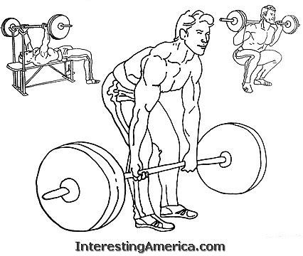 Weight Lifting Drawing at GetDrawings | Free download