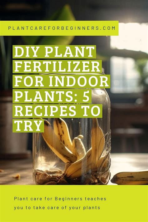 DIY Plant Fertilizer for Indoor Plants: 5 Recipes to Try in 2024 ...