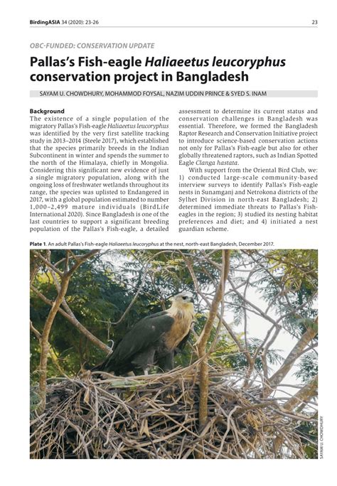 (PDF) Pallas’s Fish-eagle Haliaeetus leucoryphus conservation project ...