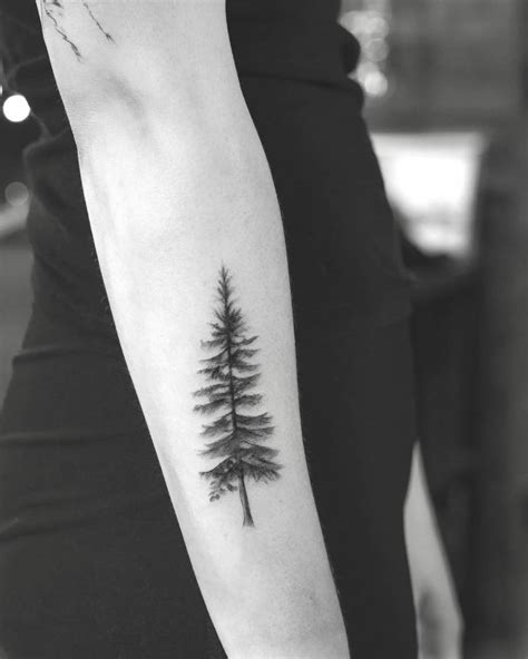 Micro-realistic pine tree tattoo done on the forearm.