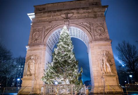 10 Most Beautiful Christmas Trees In New York Cuddlynest