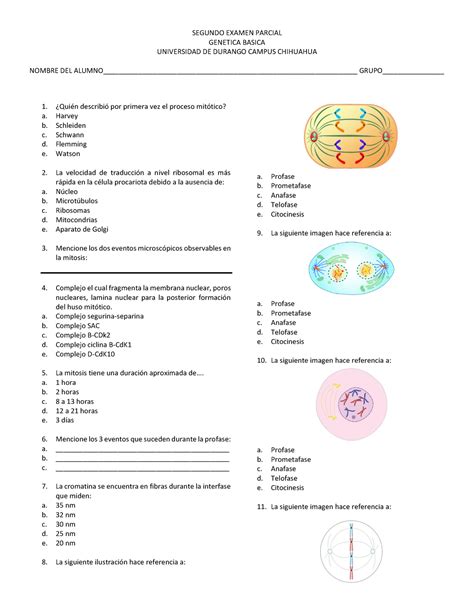 Parcial Genetica SEGUNDO EXAMEN PARCIAL GENETICA BASICA UNIVERSIDAD