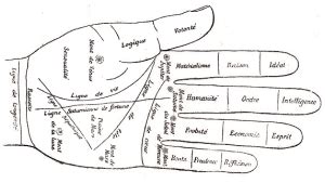 Comment Lire Les Lignes De La Main En Chiromancie