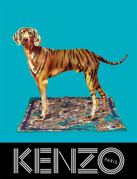 Campagne Kenzo 2013 14 Kenzo Campaign Kenzo Dog Art