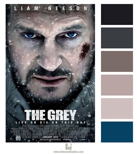 Color Palette Based On The Movie Poster For The Grey