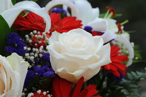 Independence Day Celebration Flowers