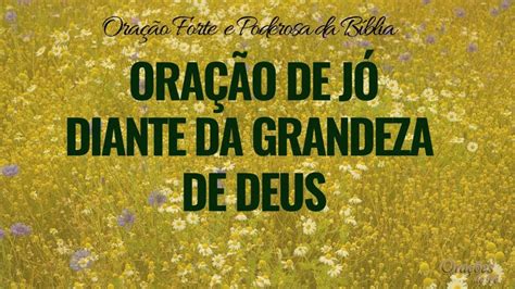 Oração de Jó diante da grandeza de Deus CatolicaConect