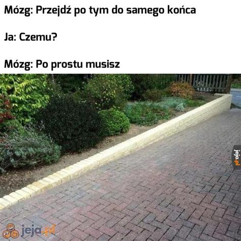 Jak Trzeba To Trzeba Jeja Pl