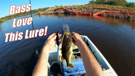 Catching Big Bass In The Caloosahatchee River Bass Manager The