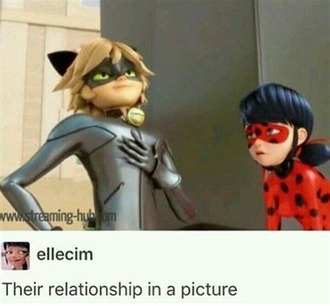 Adrien Agreste/Cat Noir x Reader One Shots - Memes and Pictures (Not an x reader) | Miraculous ...