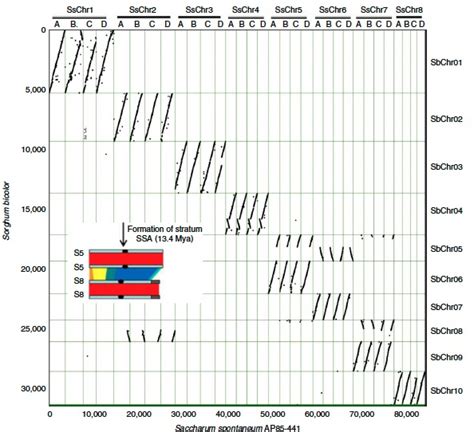 ALLHIC Use HIC Auxiliary Genome Assembly 3 Programmer Sought