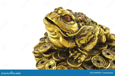 Chinese Feng Shui Lucky Money Frog For Good Luck Stock Image Image Of