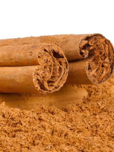 Cinnamon 101: Everything You Need to Know About this Popular Spice